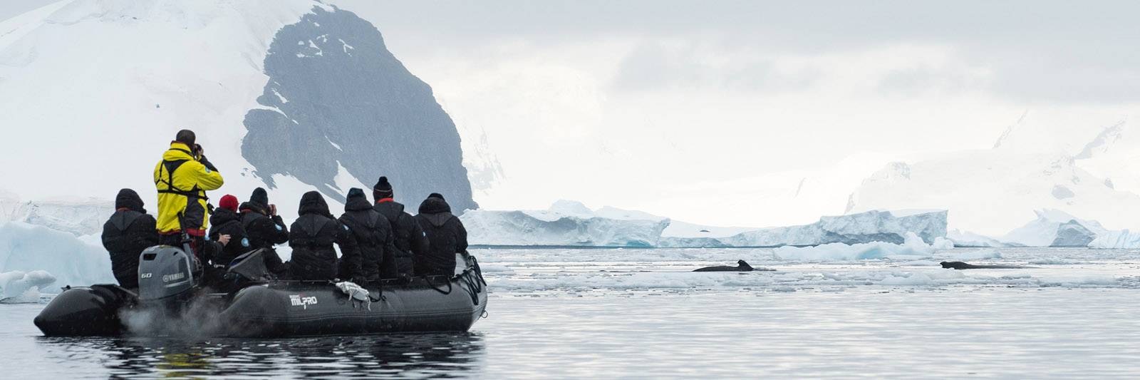 South Shetland Islands